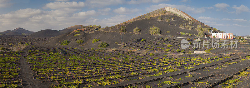 La Geria火山葡萄酒谷